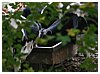 IMG_5765.JPG