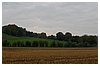 IMG_5766.JPG