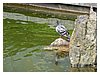P1000045.JPG