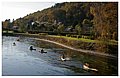 Ardennes