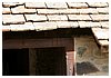 IMG_5862.JPG