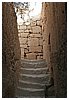 IMG_5989.JPG