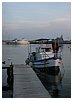 IMG_6068.JPG