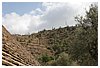 IMG_5858.JPG