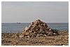 IMG_5995.JPG
