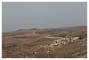 IMG_6209.JPG