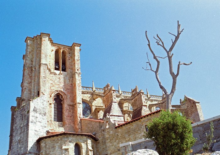 SP0062.JPG