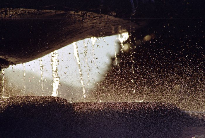 SP0071.JPG