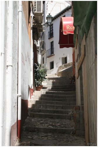 IMG_7774.JPG