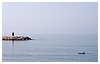 IMG_7264.jpg