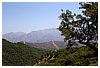 IMG_7274.jpg