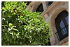 IMG_7296.JPG