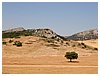 IMG_7349.jpg