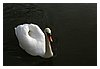 19_IMG_4352.JPG