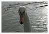 20_IMG_4364.JPG