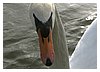21_IMG_43711.jpg