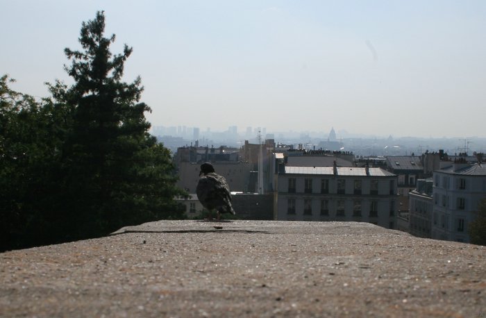 IMG_3933.JPG