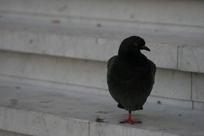 IMG_4038.JPG