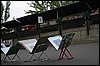 IMG_3803.JPG