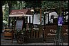IMG_3883.JPG