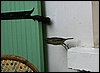 IMG_3900.JPG