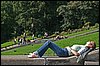 IMG_3932.JPG