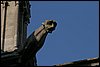 IMG_3967.JPG