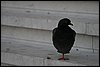 IMG_4038.JPG