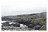 IMG_5845.JPG