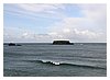 IMG_5955.JPG