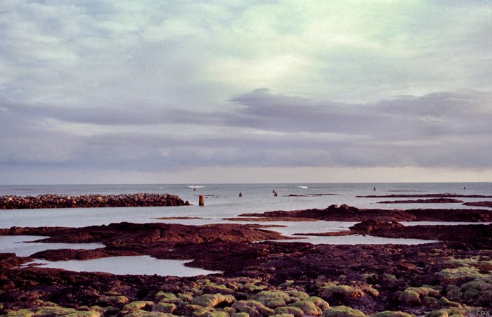 ISL0010.JPG