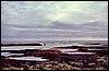ISL0010.JPG