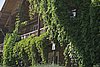 IMG_0238.JPG