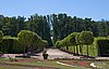 IMG_0349 copy.jpg