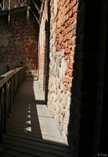 IMG_0404.jpg