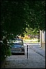 IMG_0382.JPG
