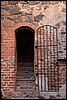 IMG_0395.JPG