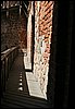 IMG_0404.jpg
