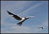 IMG_0444.JPG