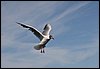 IMG_0445.JPG