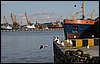 IMG_0458.JPG