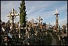 IMG_0489.JPG
