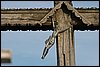 IMG_0496.JPG