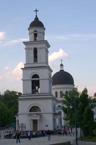 IMG_9614.jpg