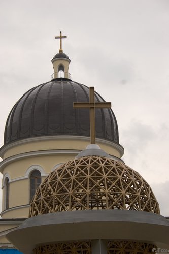 IMG_9675.jpg