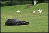 IMG_9627.JPG