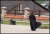 IMG_9642.jpg