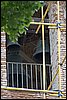 IMG_9670.jpg