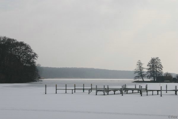 IMG_8634.JPG