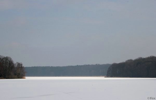 IMG_8637.JPG